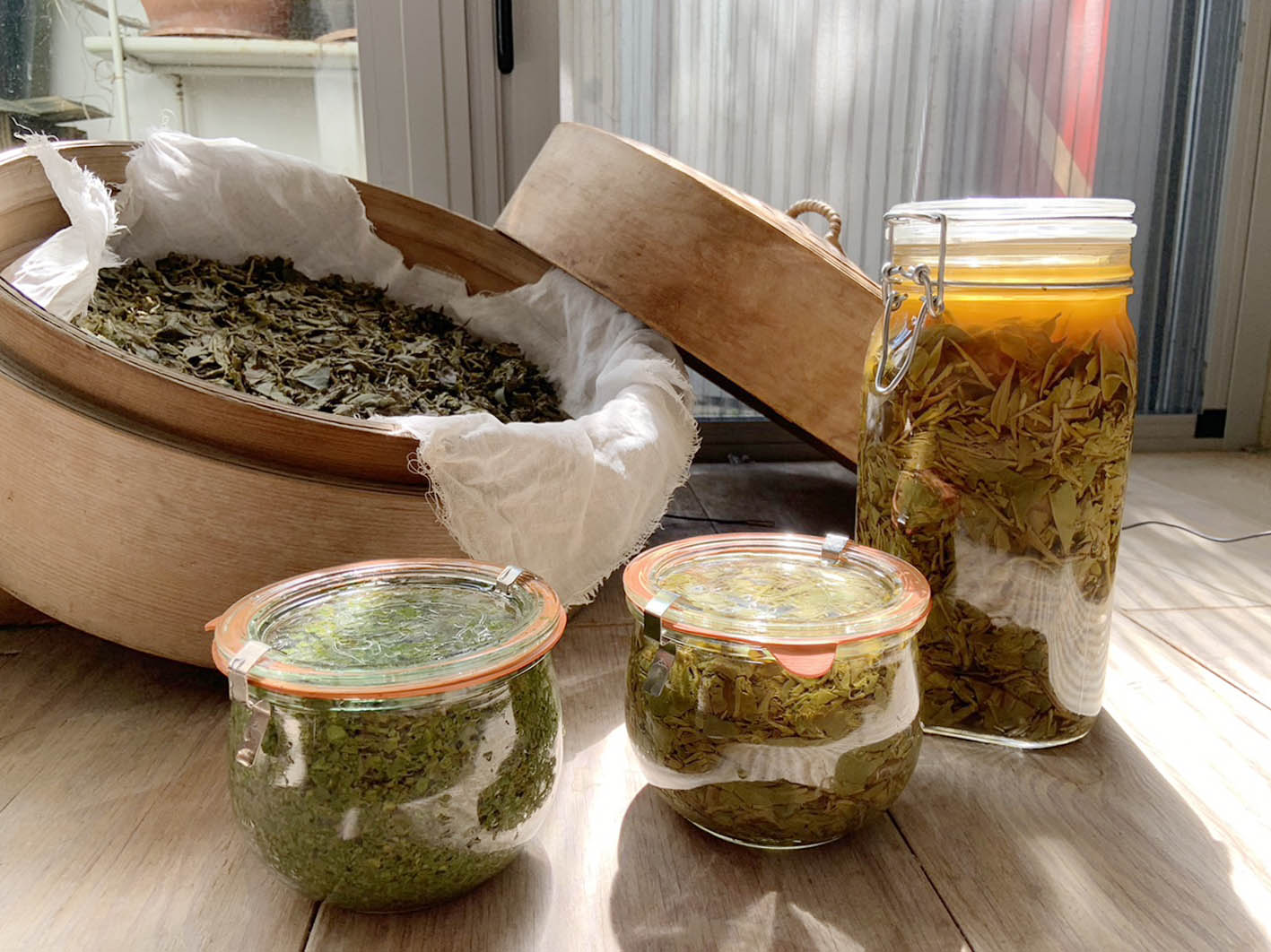 NinenineClass 0912 0917 Microbial fermentation tea 05
