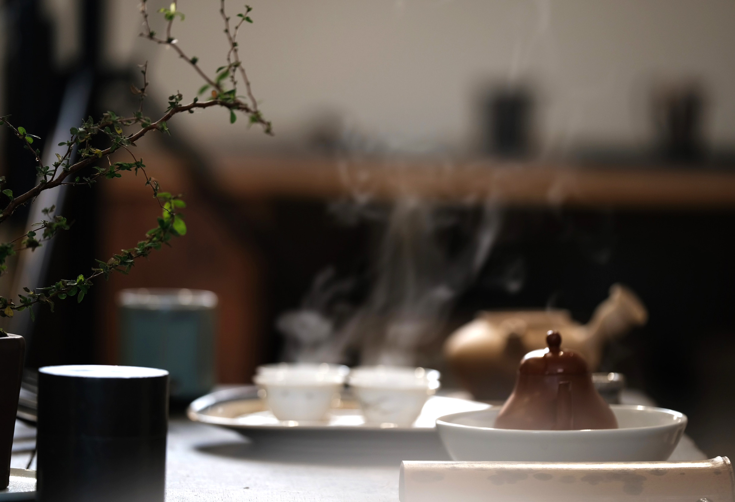 NinenineClass 0125 Chaozhou Gongfu Tea 03