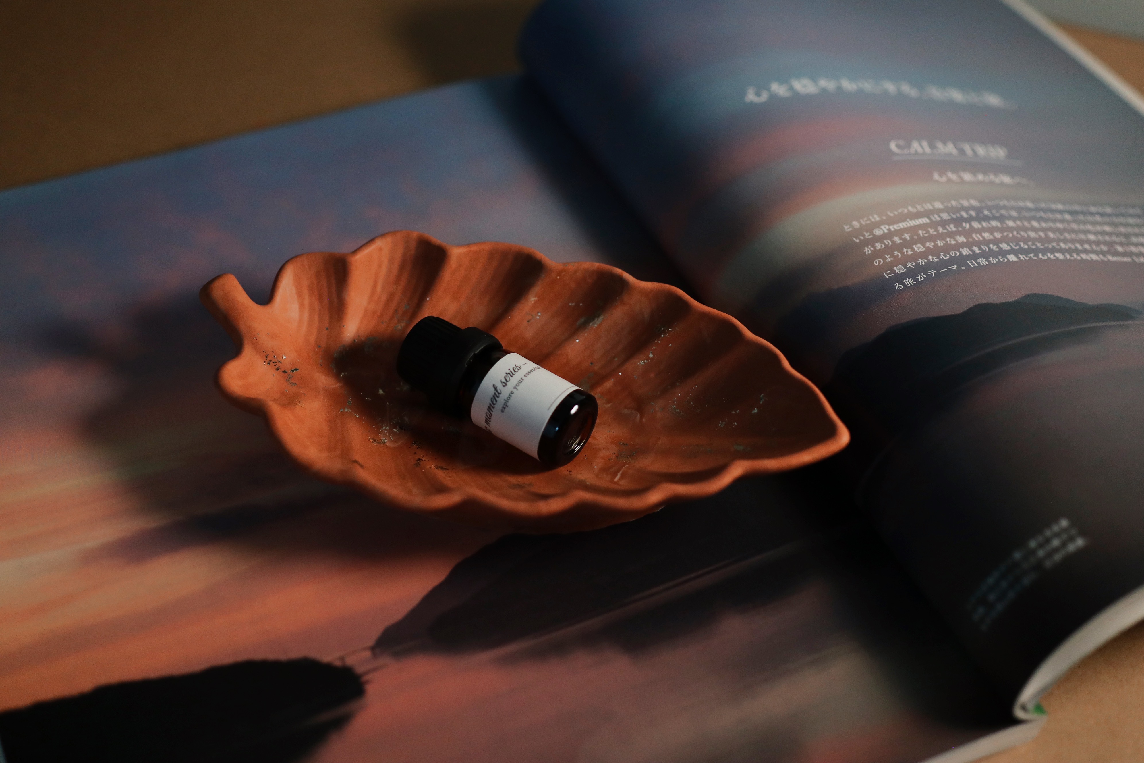 NinenineClass 0425 Spring Leaf Vessel 06