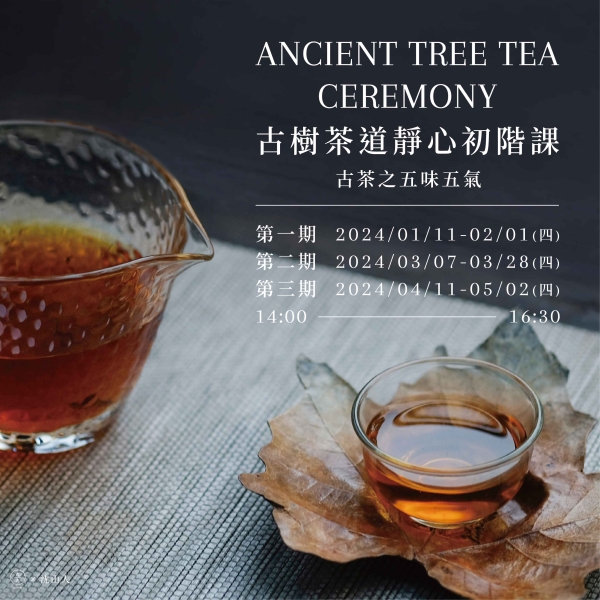 古樹茶道靜心初階課-古茶之五味五氣 Ancient Tree Tea Ceremony